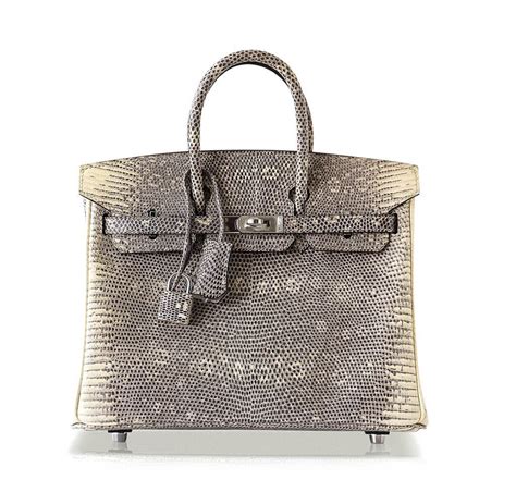 hermes birkin lizard|Hermes Birkin handbag.